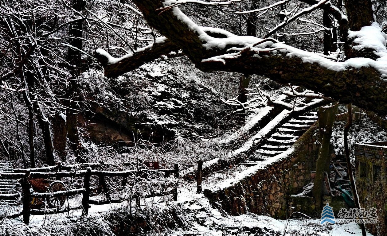 _翠华山29.jpg