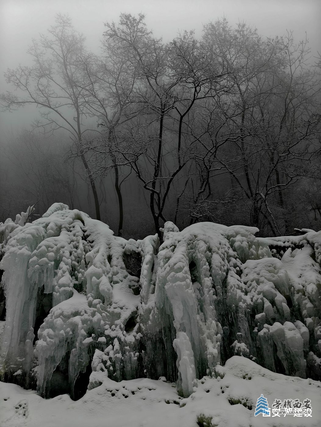 _翠华山30.jpg