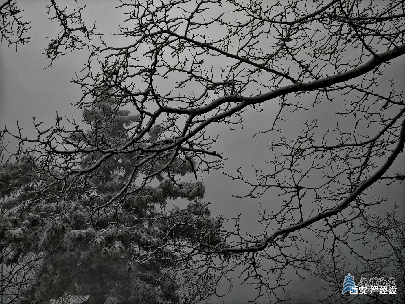 _翠华山32.jpg