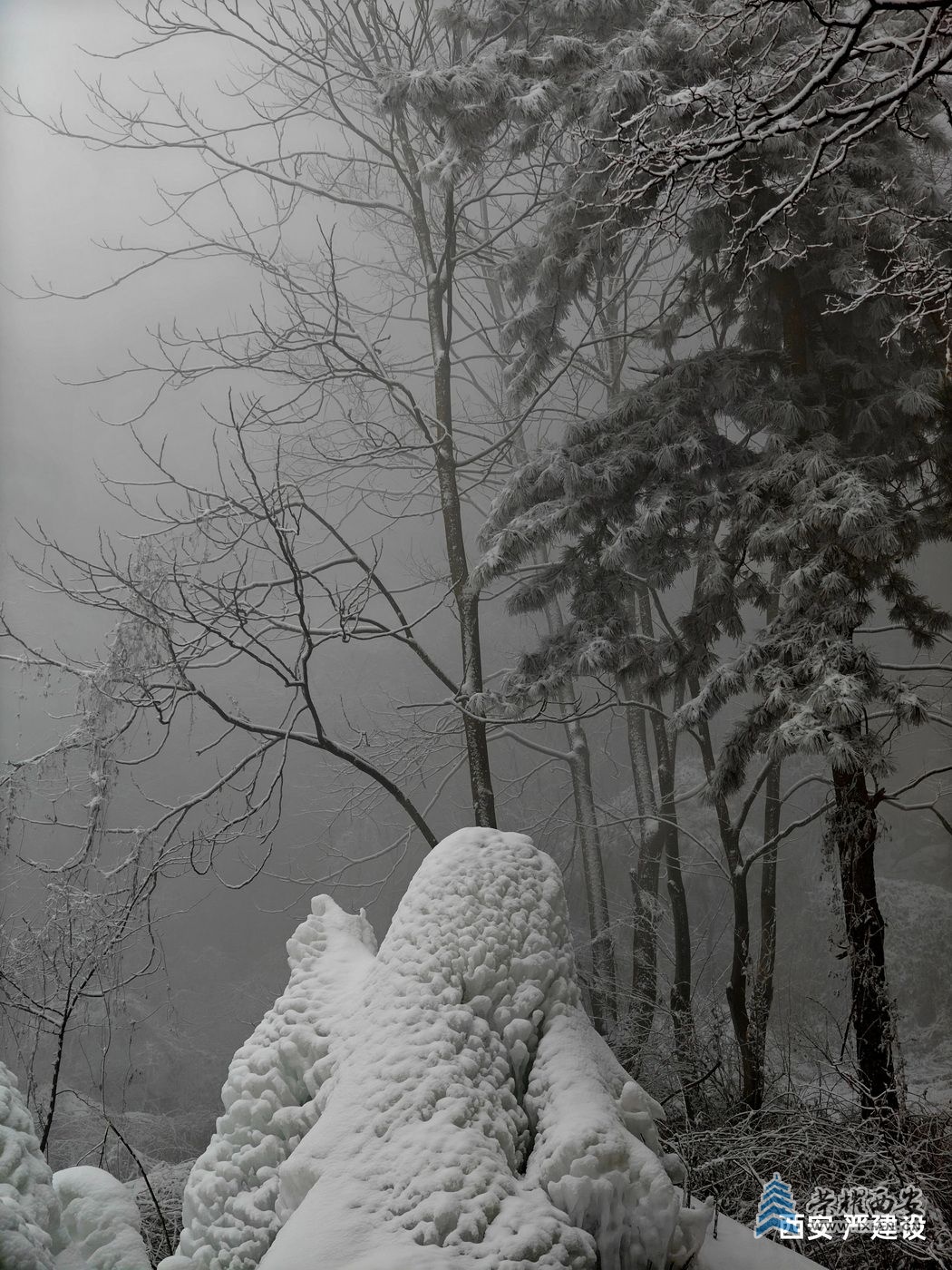 _翠华山33.jpg