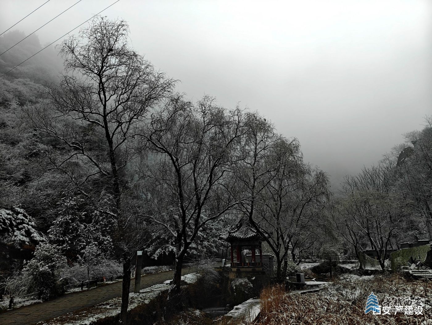 _翠华山50.jpg