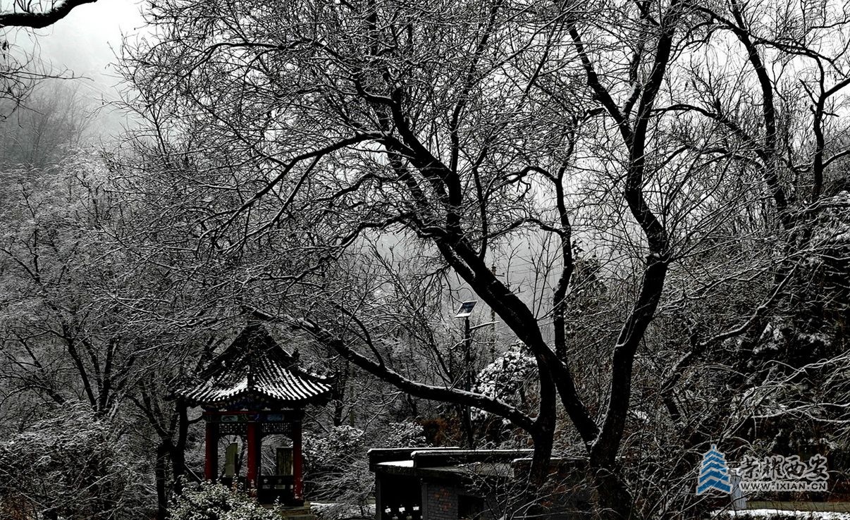 _翠华山51.jpg