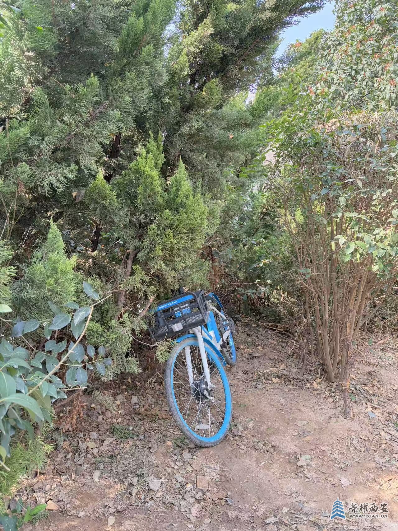微信图片_20250228114811.jpg