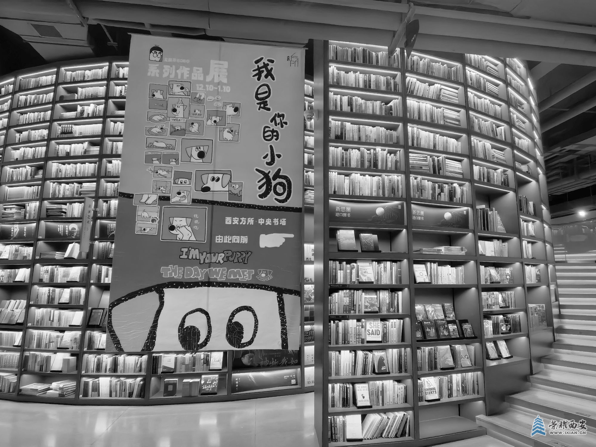 微信图片_20250304123831.jpg