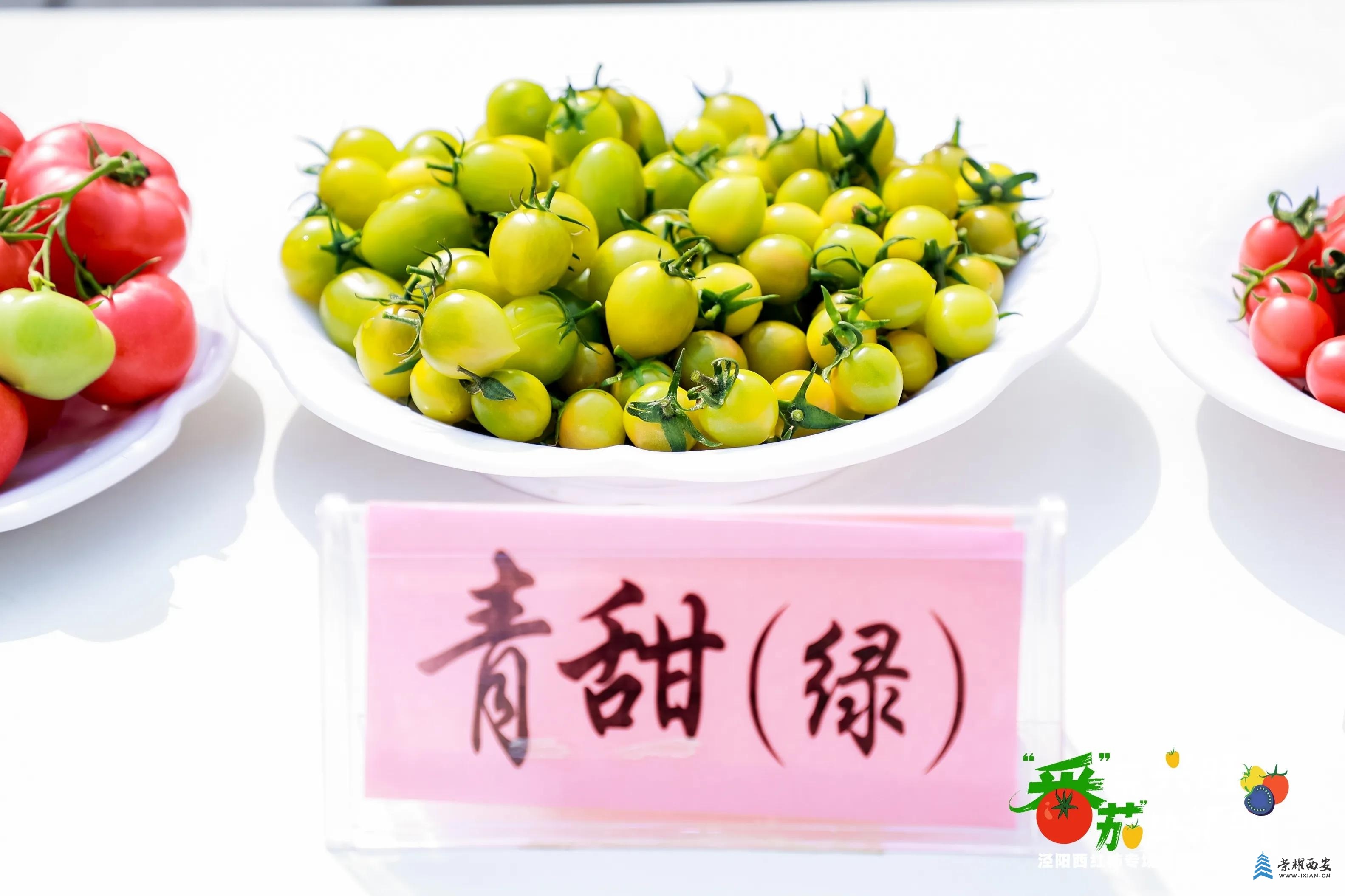b14784e49d4f470882efb1ce00e43ec6~tplv-tt-origin-web:gif.jpeg?_iz=58558&from=article.jpg