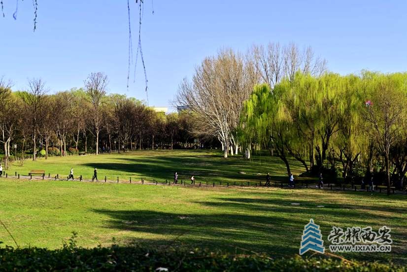 20250316095931front2_0_641246_FkVR3aL24GbxMv1M1sPQilvCY2ad.jpg