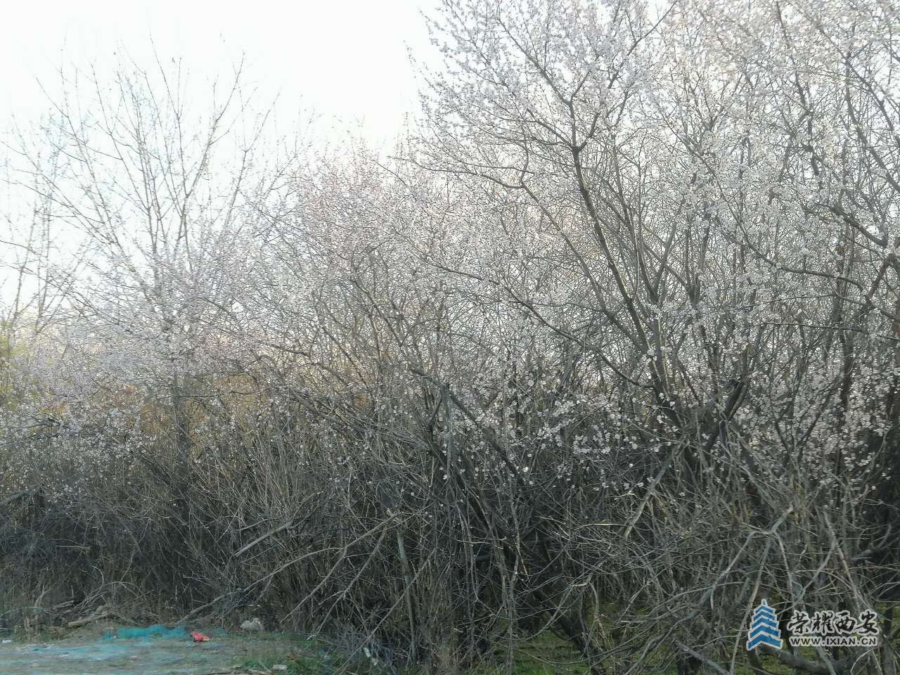 20250317052635front2_0_628723_FhUCzCEaY6XvJI71XyNJkV8AMNq0.jpg