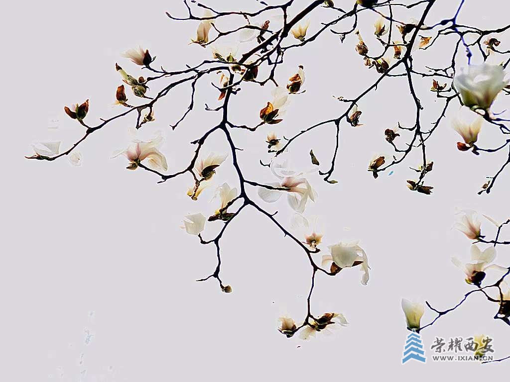 20250320224931front2_0_561577_FvhehuuK2VpDqUaeMa7AoHmpIJFW.jpg