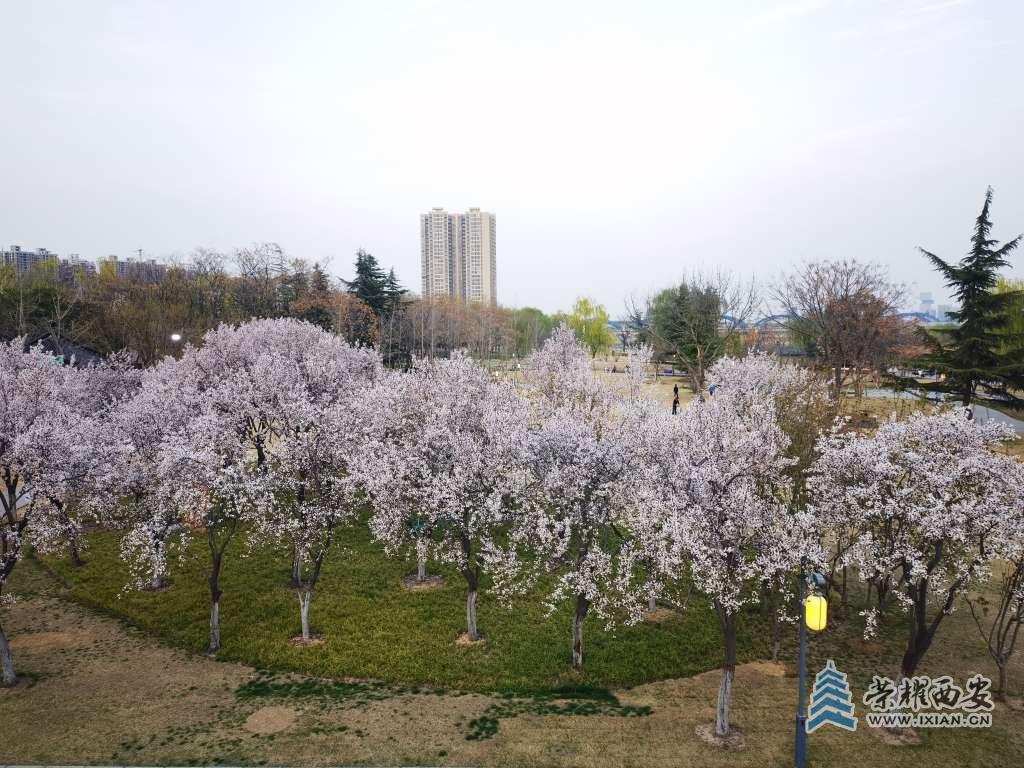 20250323020716front2_0_641138_FqIdwYG6-ze9Zn_pBQtGGSPVYI1g.jpg