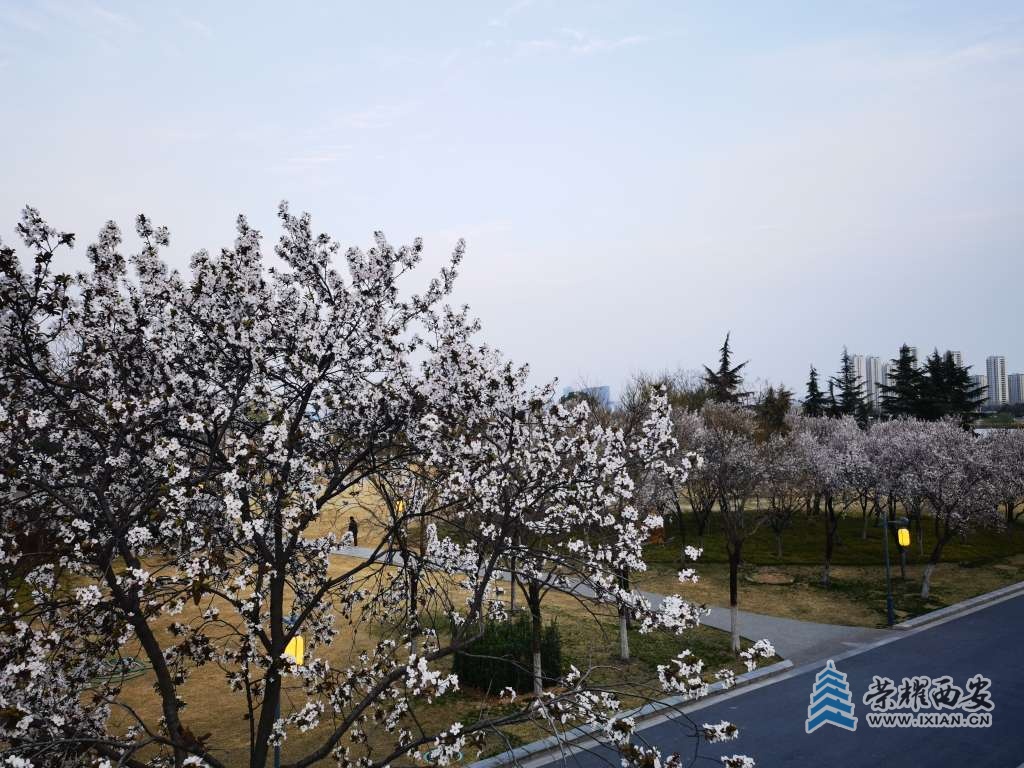 20250323020716front2_0_641138_FoIBEu-Yi7P7hbETpE01GMcDEv9U.jpg