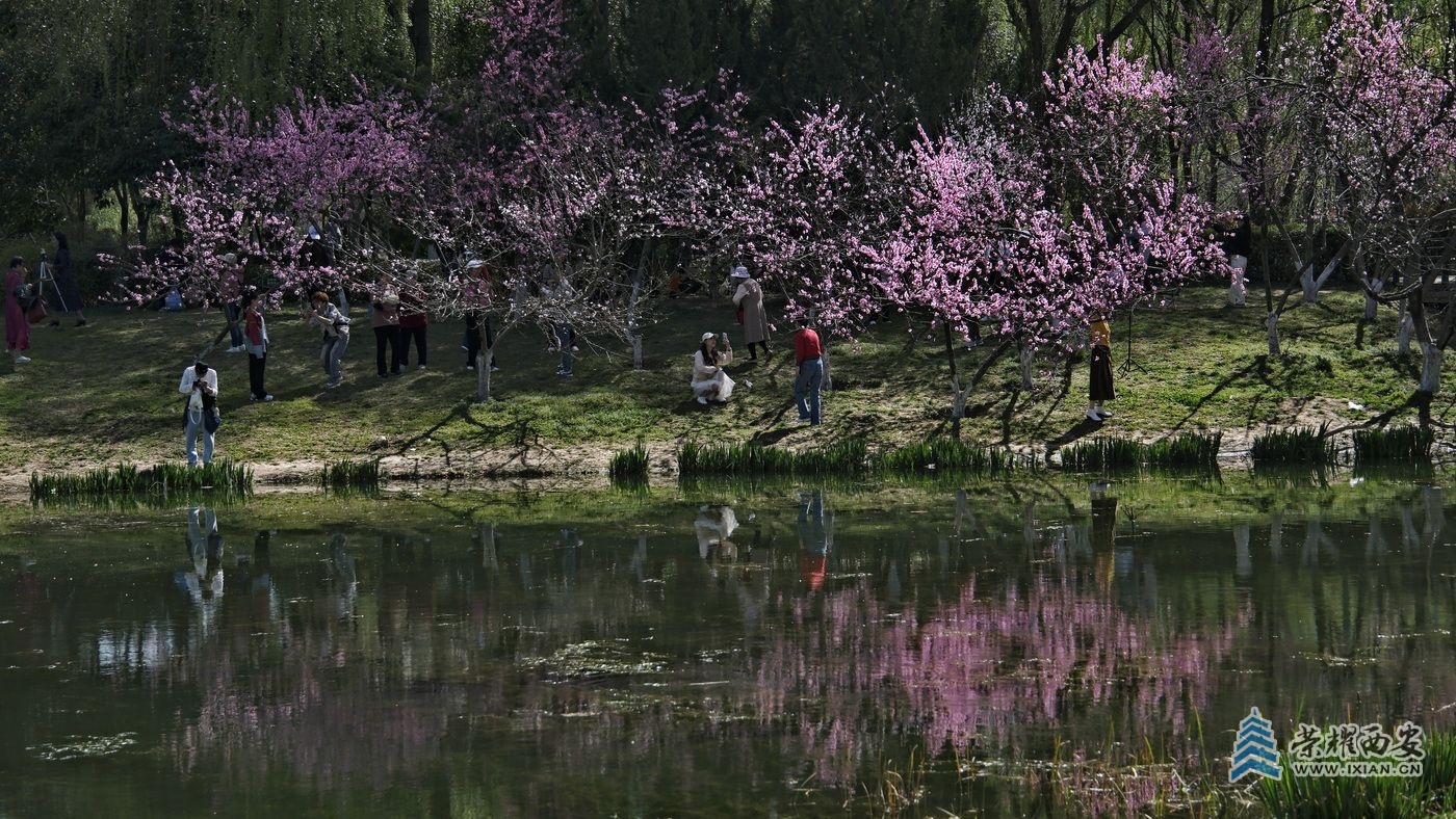 _桃花潭010.JPG