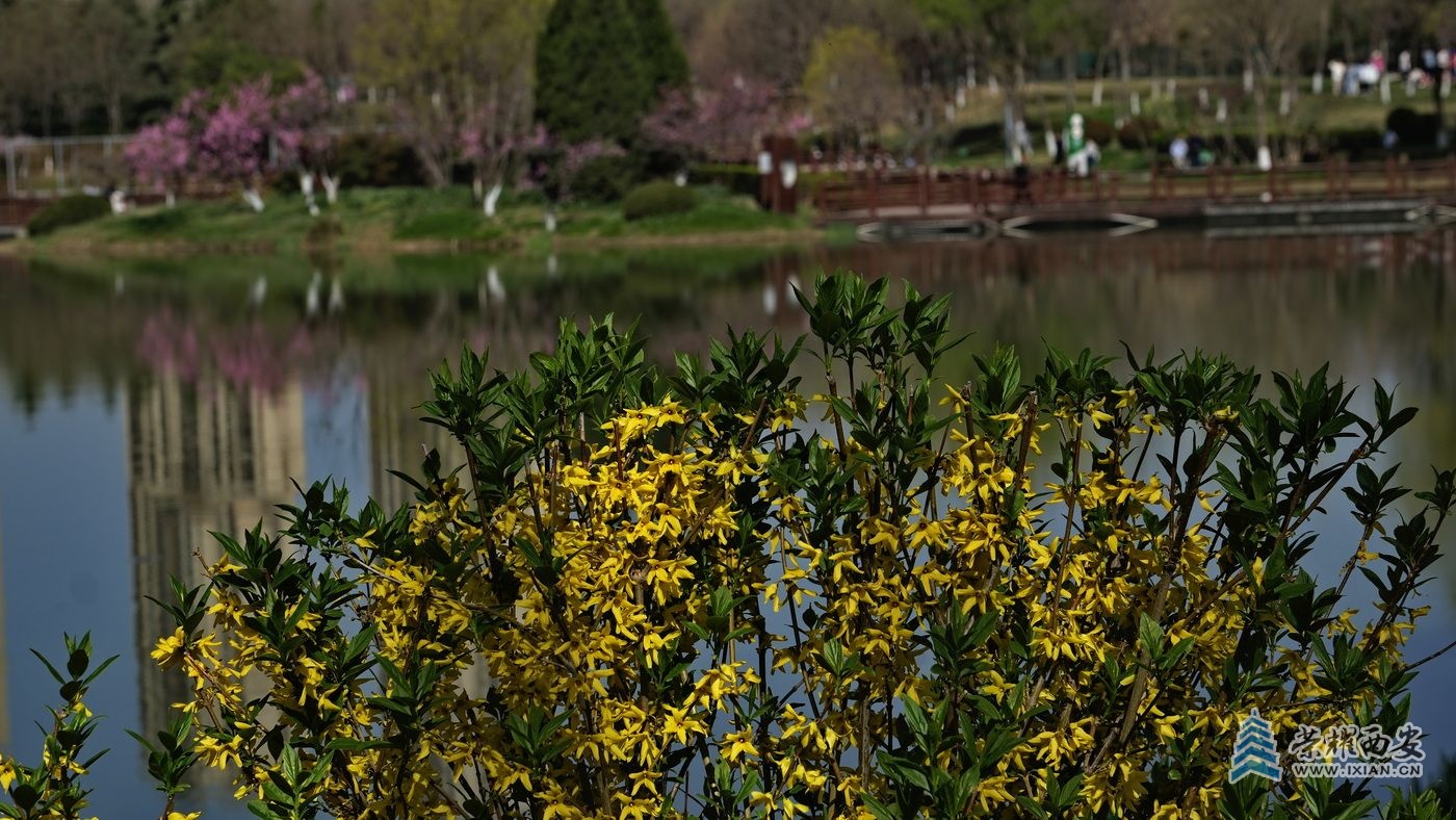 _桃花潭029.JPG