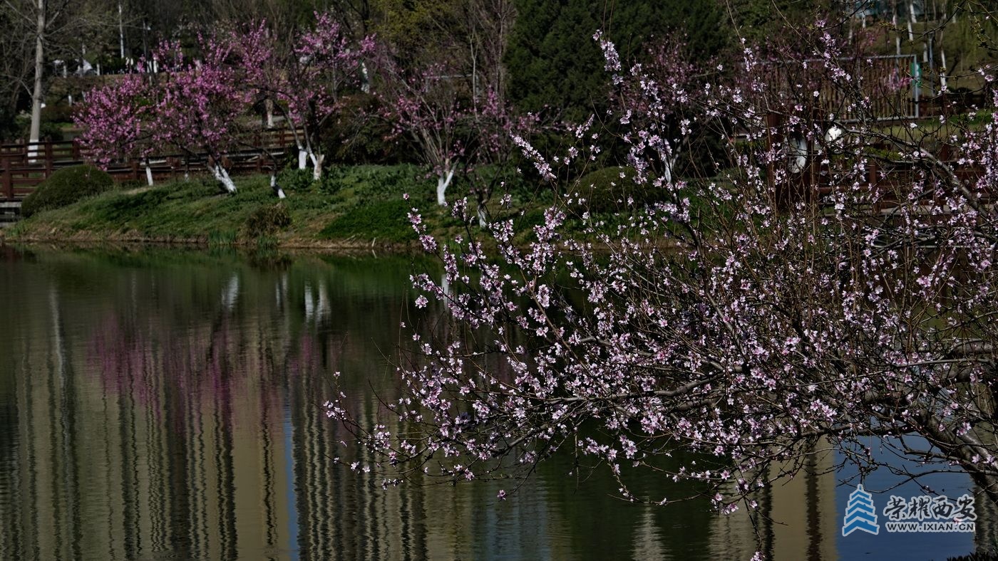 _桃花潭030.JPG