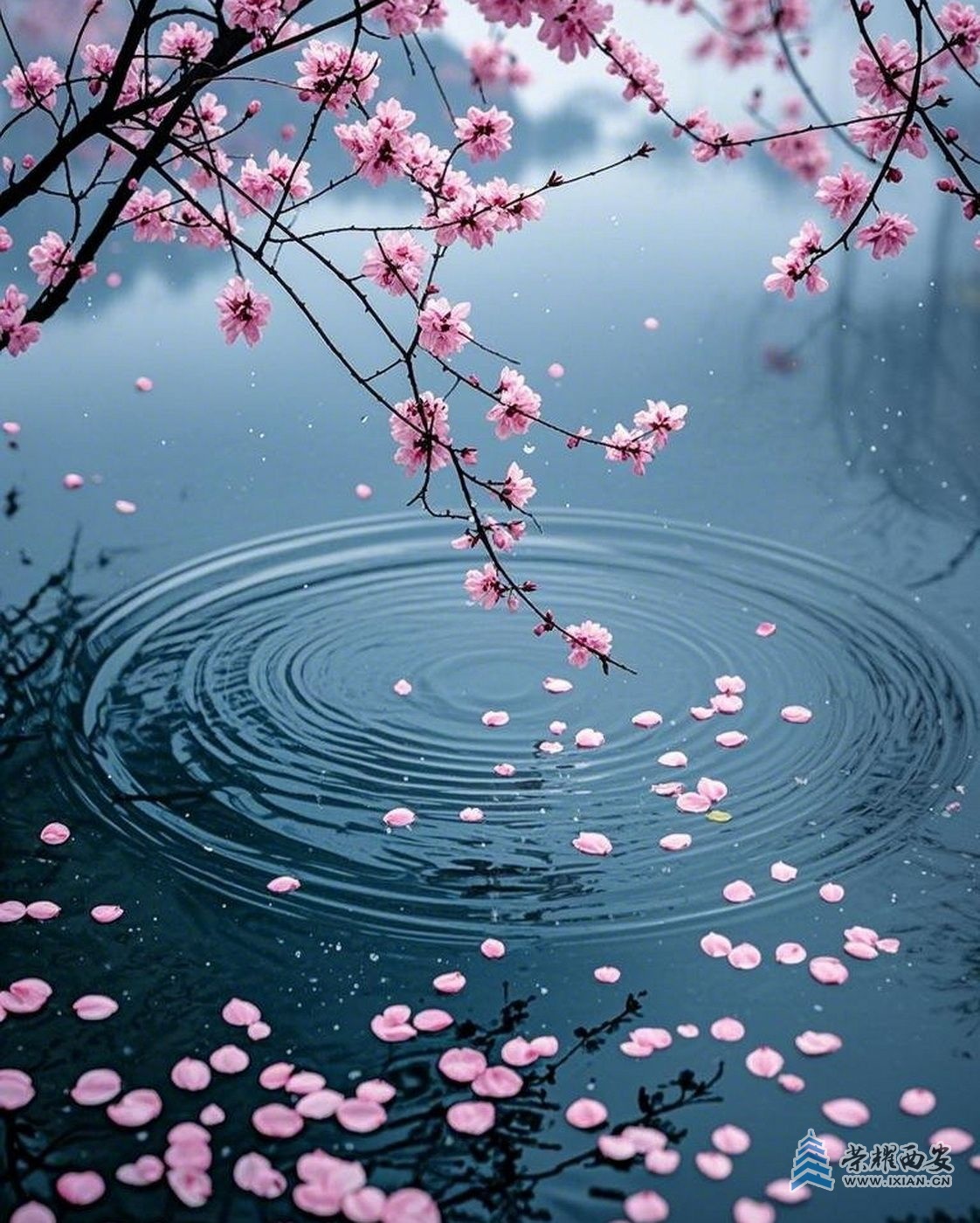 _桃花潭041.jpeg