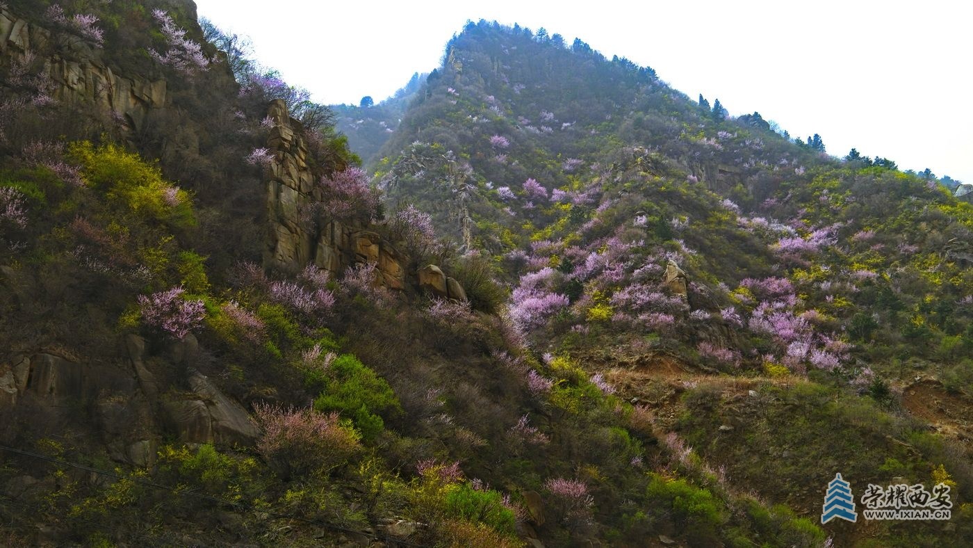 _蓝田县009.JPG