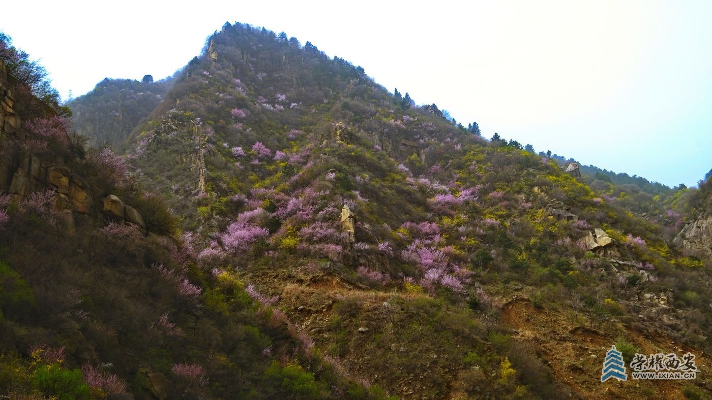 _蓝田县016.JPG