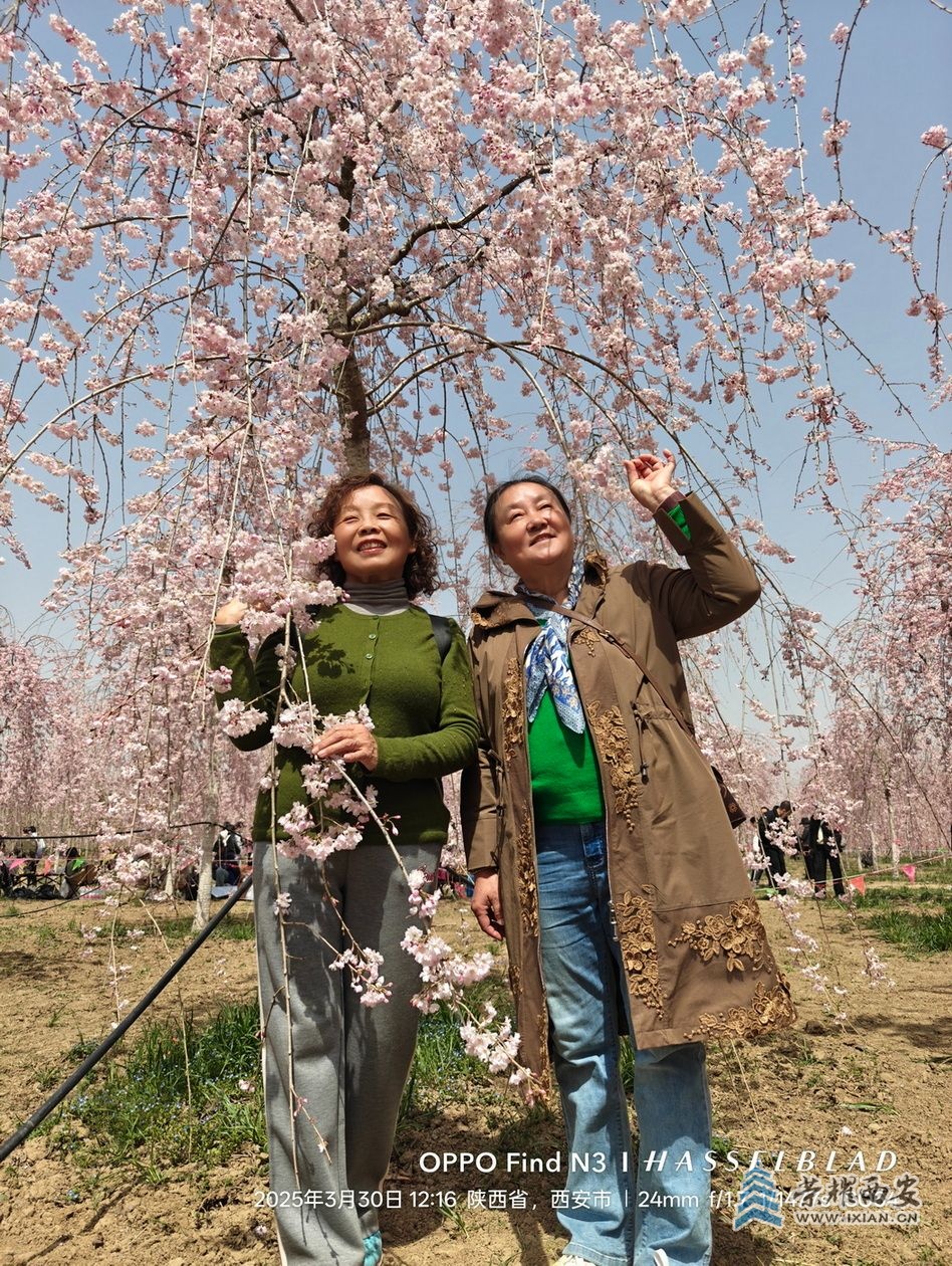 _鄠邑区025.jpg