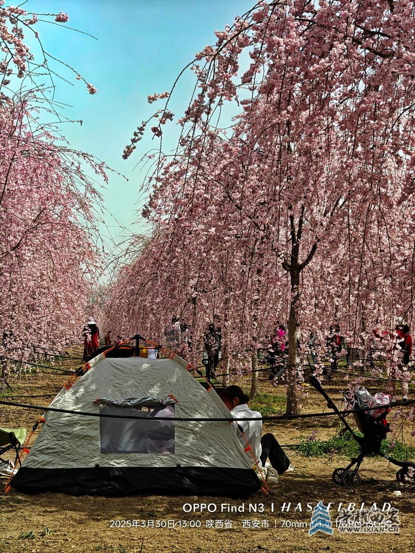 _鄠邑区041.jpg