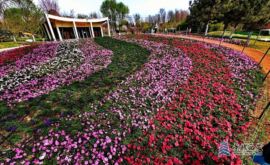 _植物园016.jpg