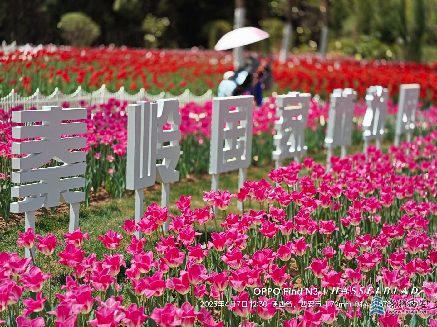 _秦岭国家植物园012.jpg