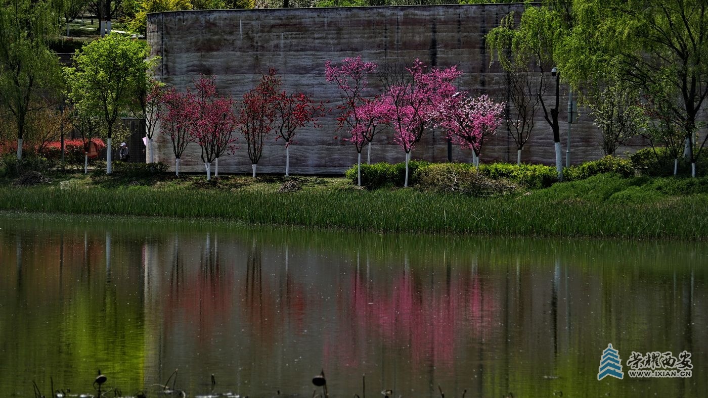 _秦岭国家植物园020.JPG