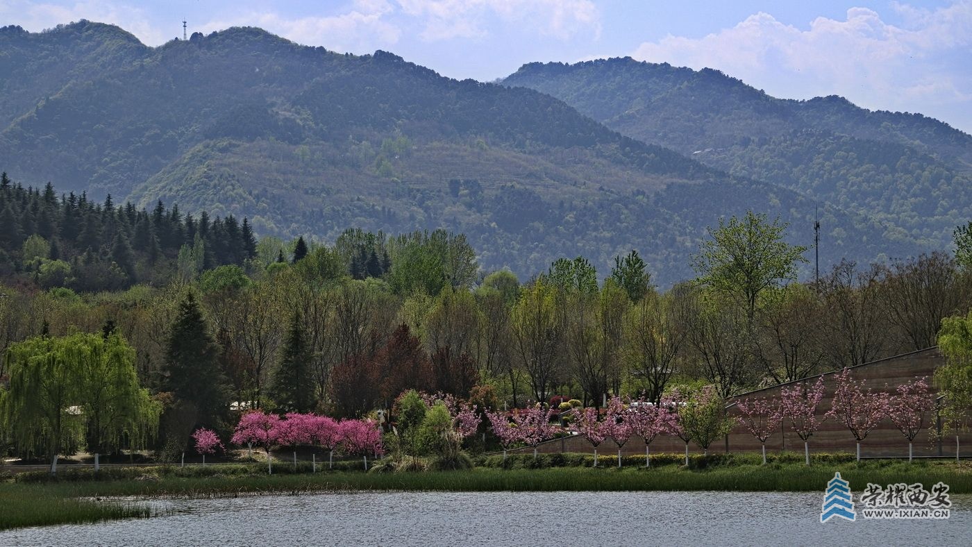 _秦岭国家植物园021.JPG
