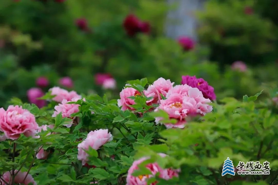252dfadd3a400a96b522f71e05b552d4~tplv-tt-origin-web:gif.jpeg?_iz=58558&from=article.jpg