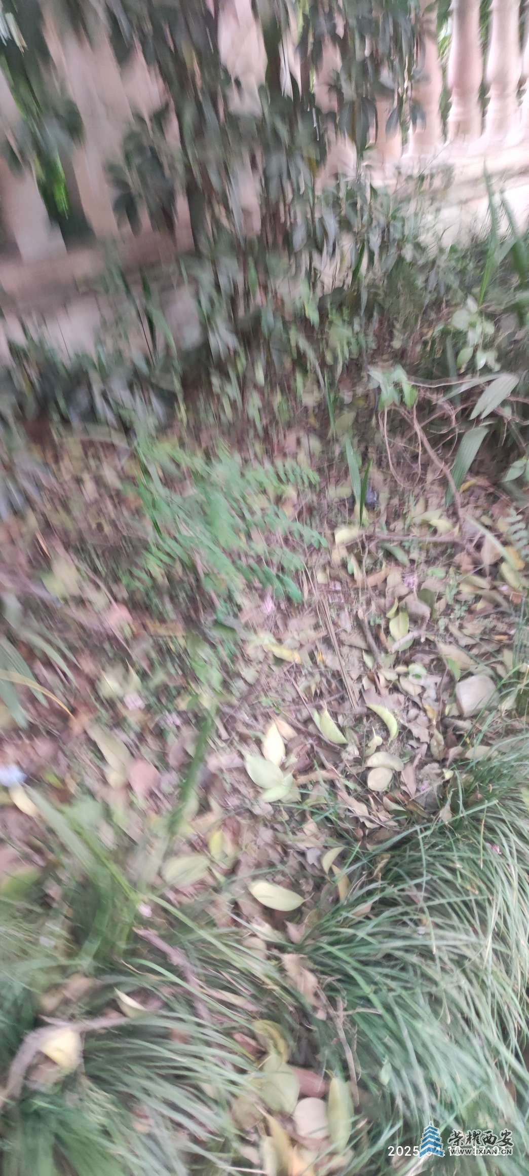 20250419095253front2_0_641246_Fk9z9PsuWuZcqcqJsNq56tGjawKf.jpg