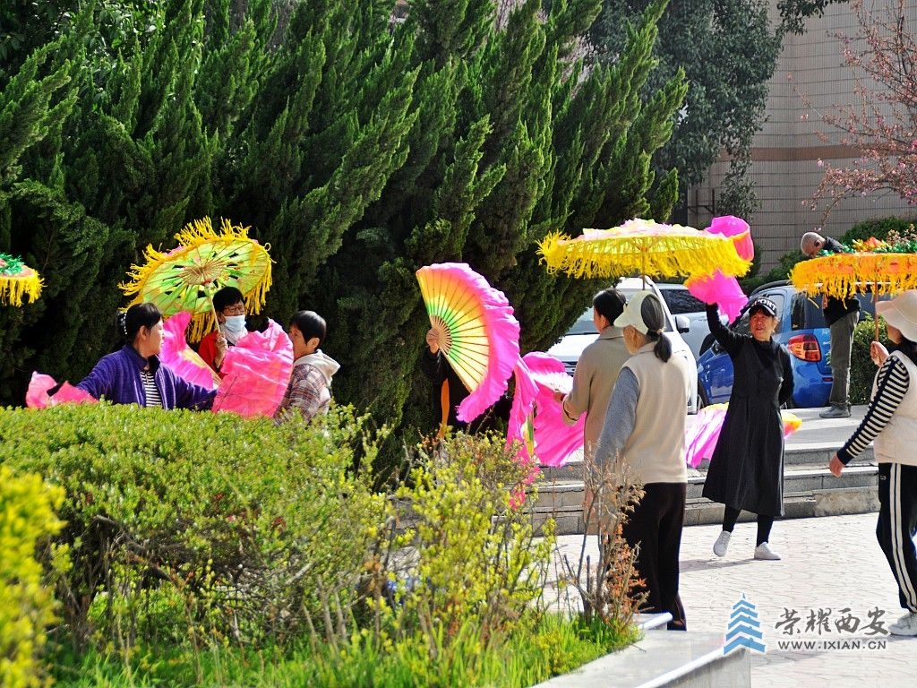 DSC_0037_conew1.jpg