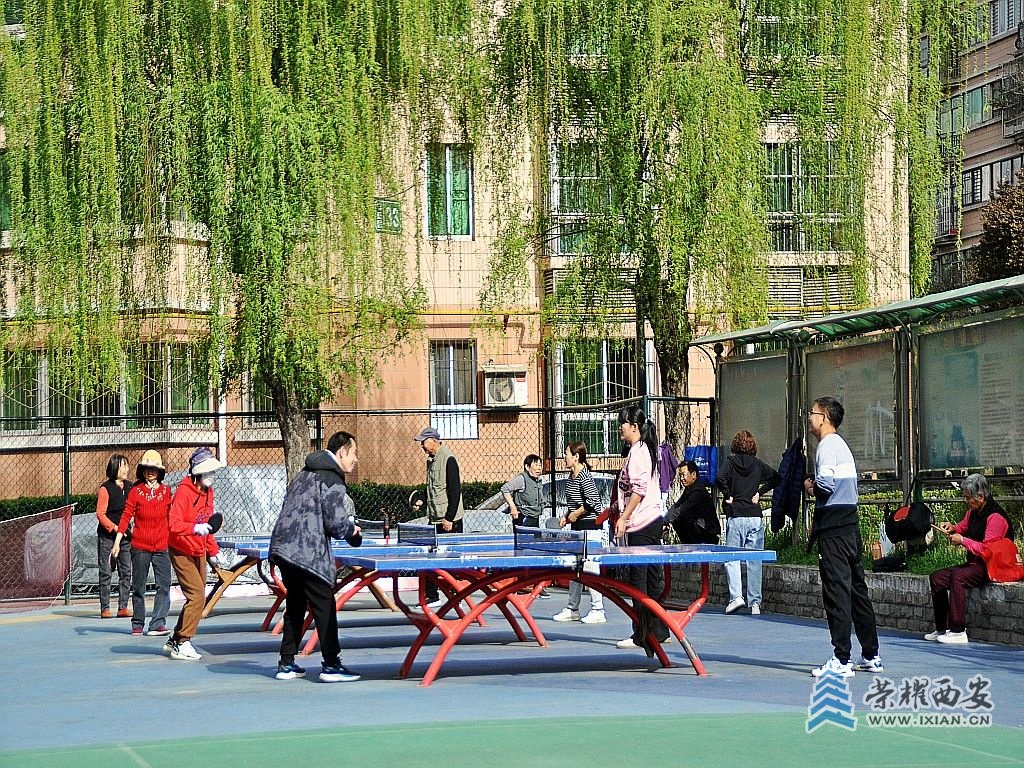 DSC_0046_conew1.jpg