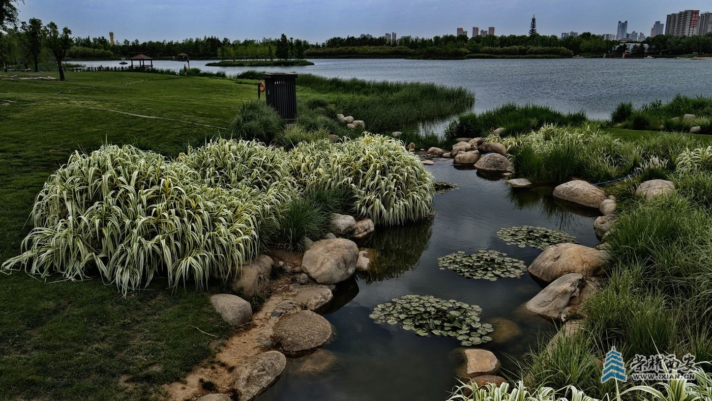_渼陂湖002.JPG
