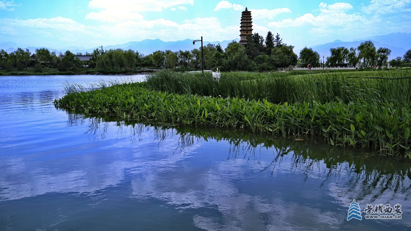 _渼陂湖003.JPG