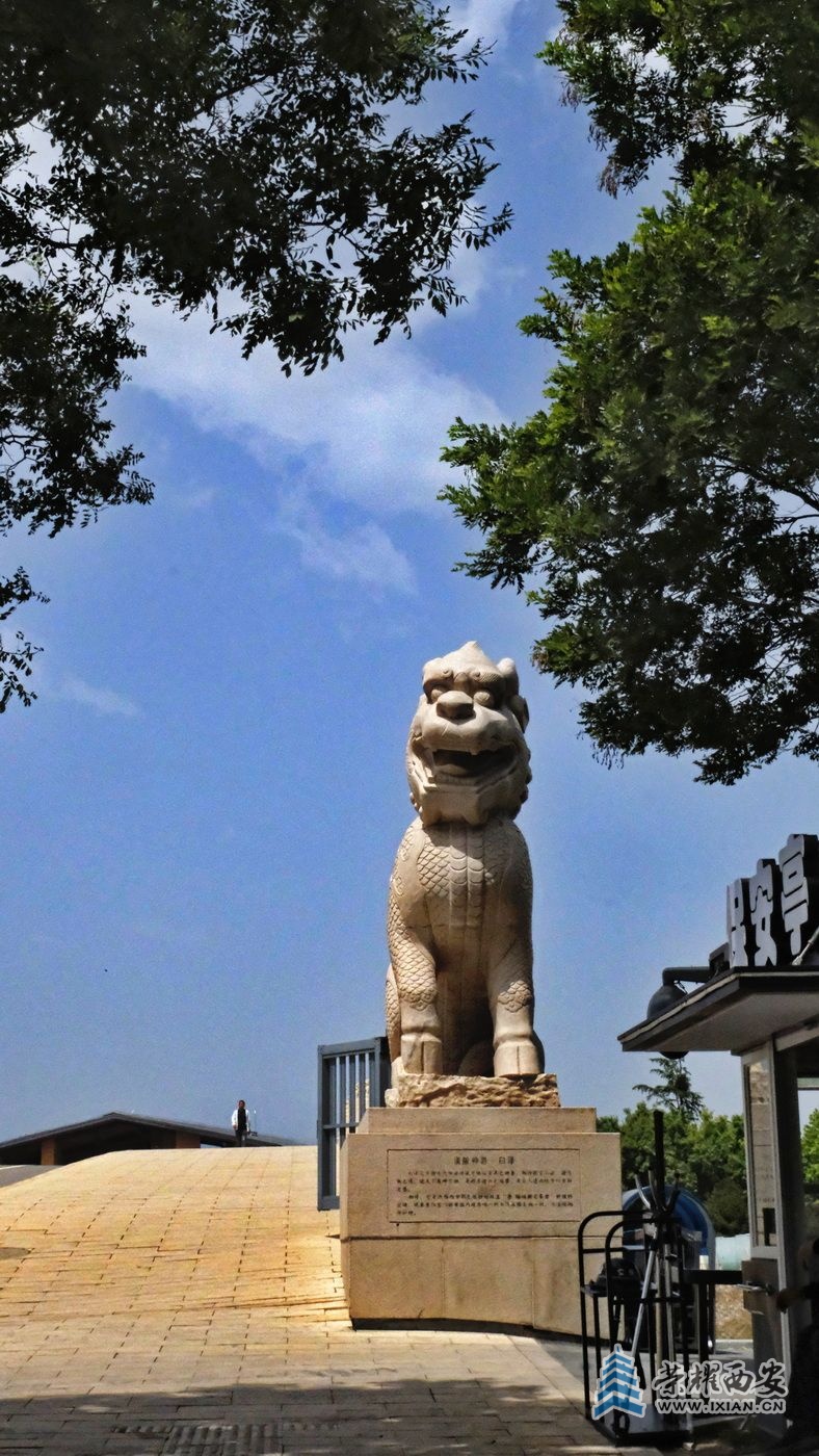 _渼陂湖025.JPG
