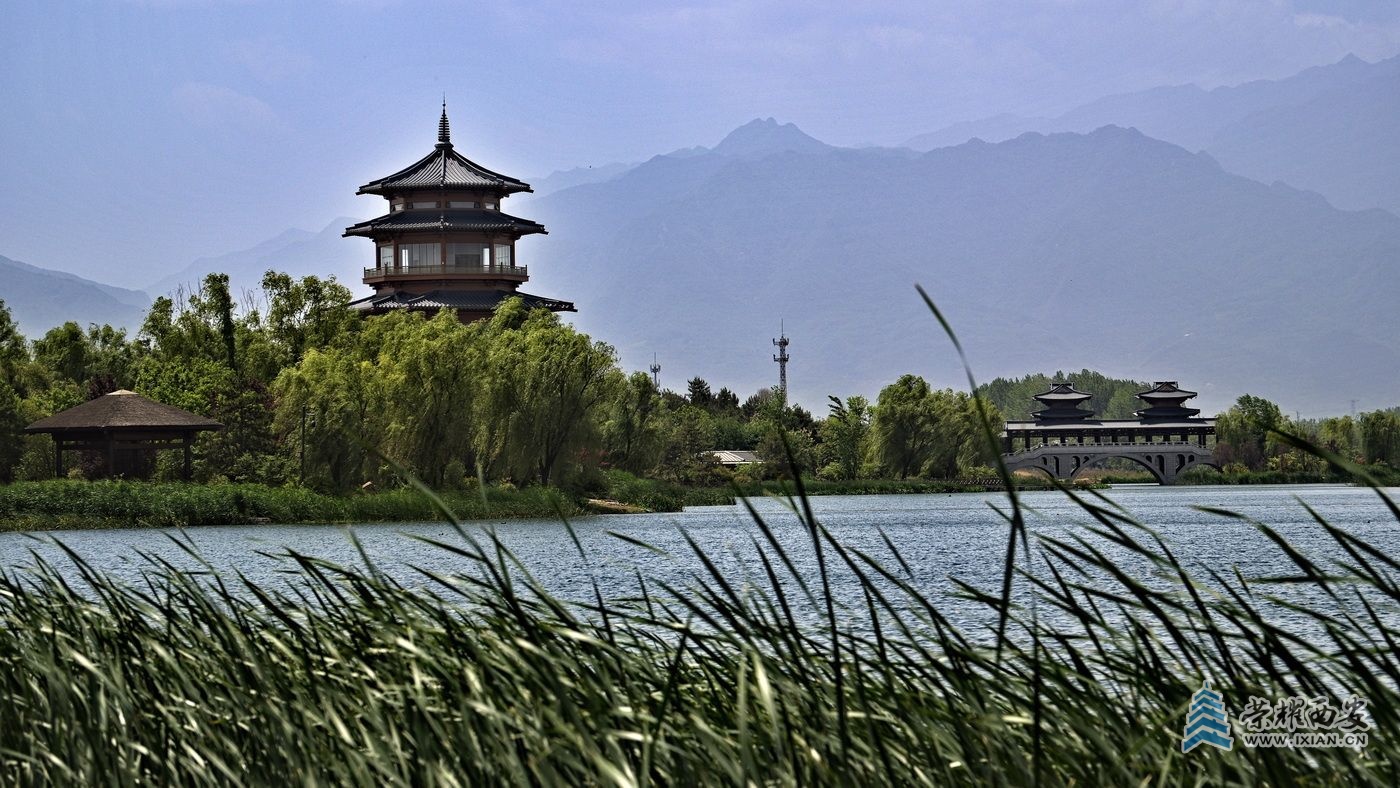 _渼陂湖029.JPG