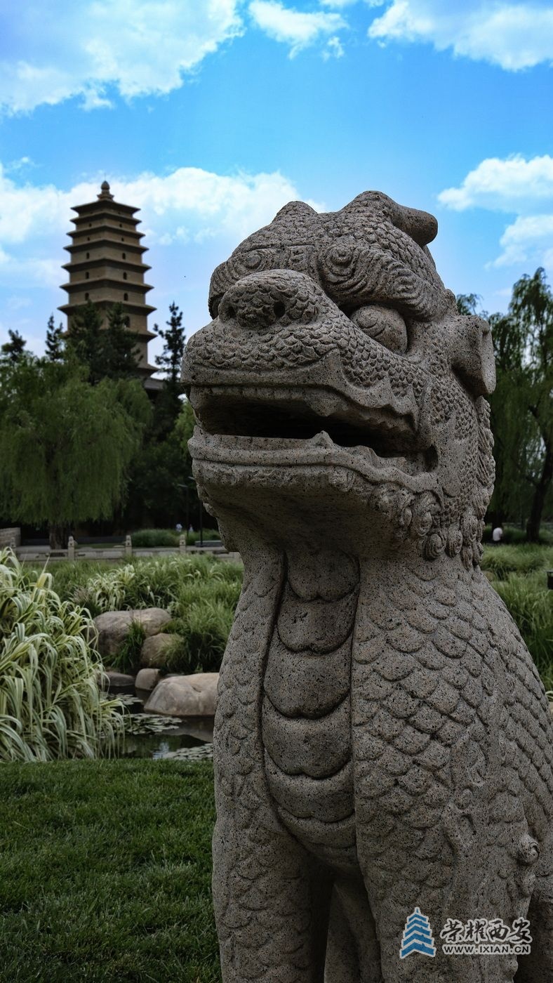_渼陂湖030.JPG