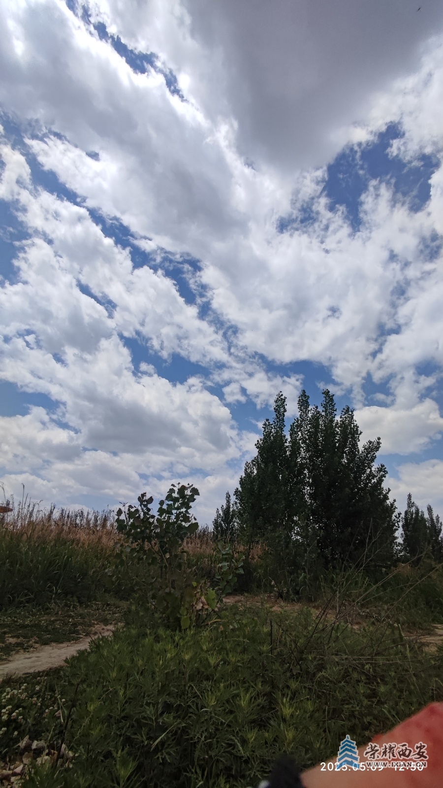 dddcd4652d24d623865f6bad3d49e53a.jpg