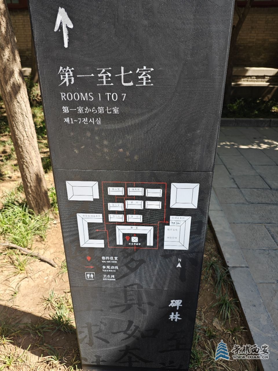 20250511125620front2_0_295152_Fu2OlJvbsRQM6akwaxbbqy_irt3u.jpg