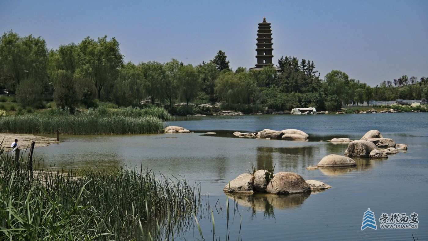 _鄠邑渼陂湖7.JPG