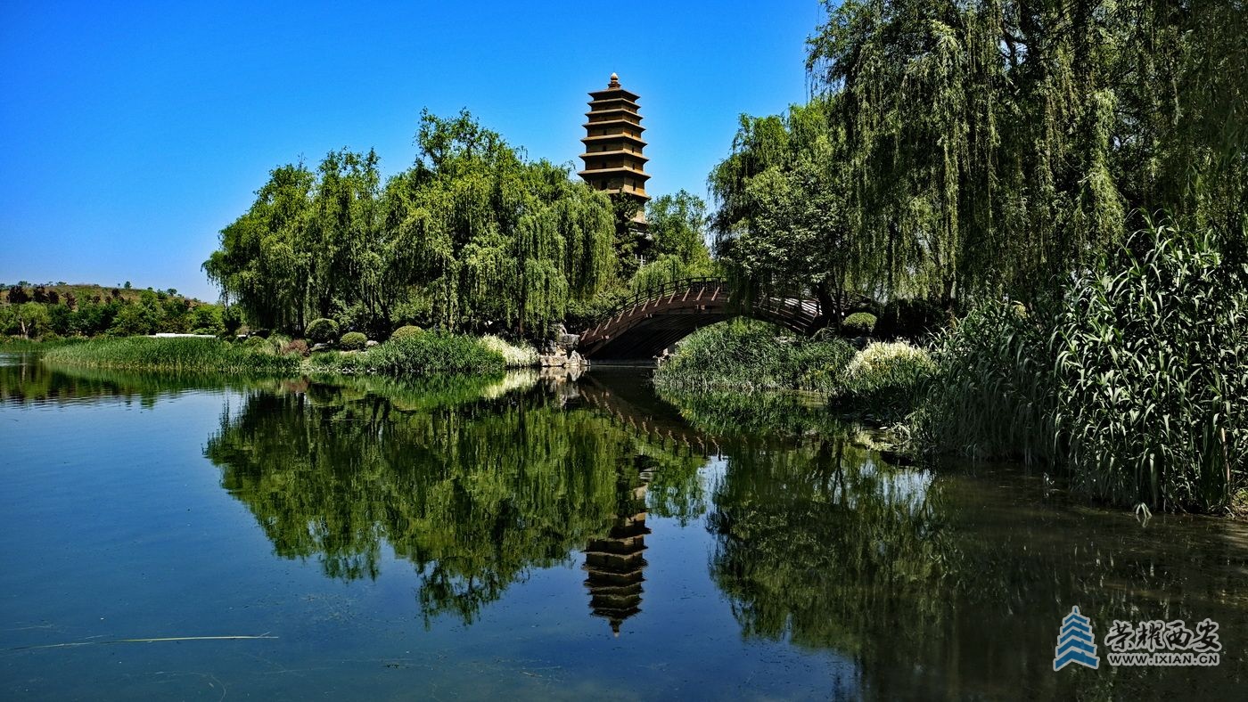 _鄠邑渼陂湖21.JPG