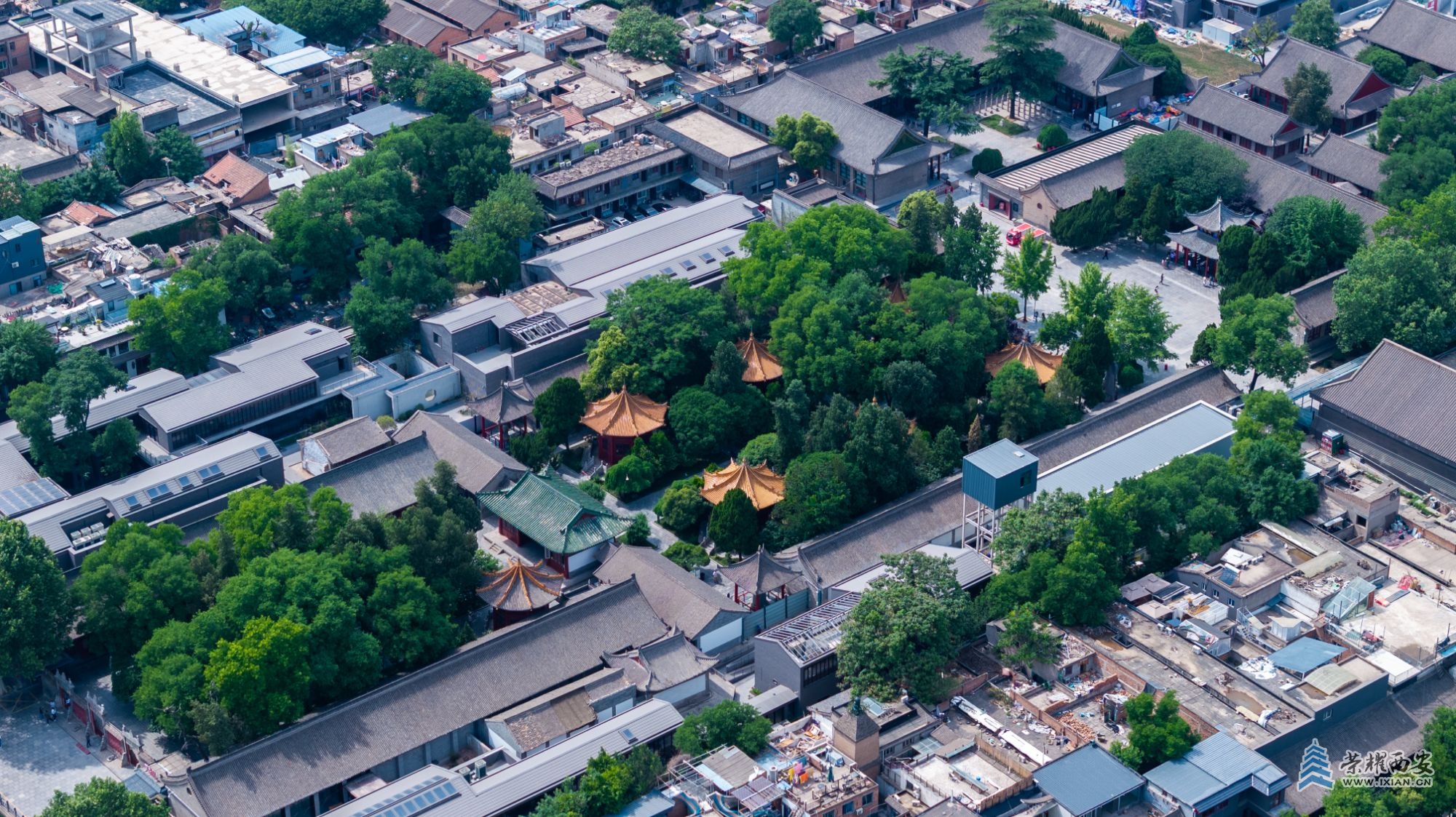 DJI_20250512142949_0141_D.jpg