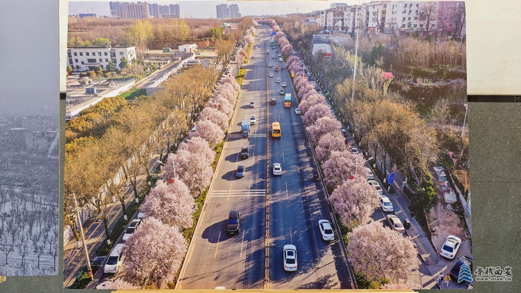 微信图片_20250516202952.jpg