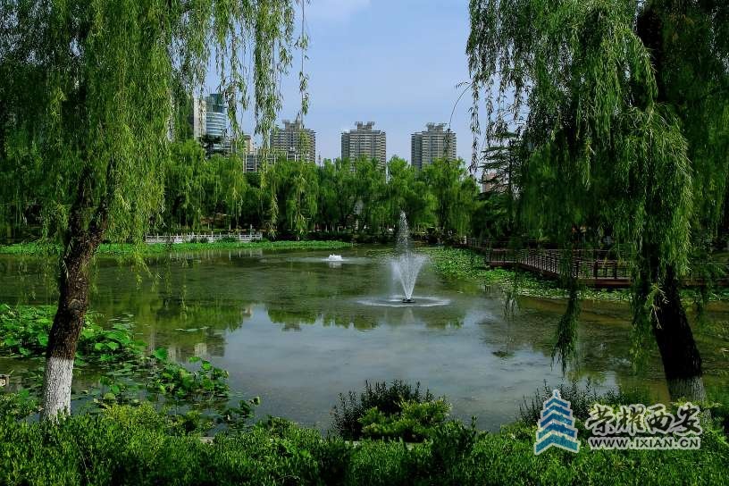 绿色兴庆公园