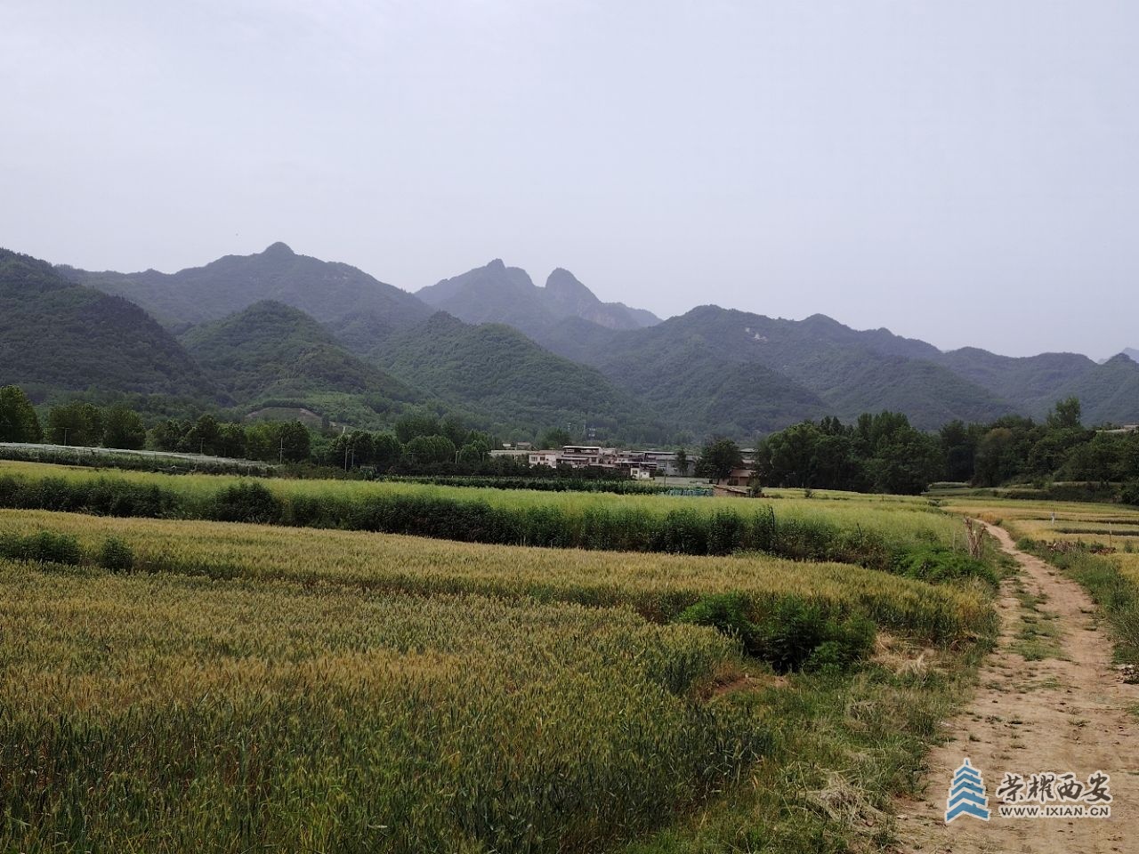 20250518053629front2_0_473708_FqVsaVGWoyEhk0nNxD7lc260dsMu.jpg