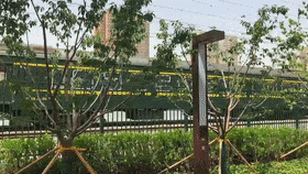 99e9cac59b56e2d1a6cce54b4c3549ec~tplv-tt-origin-web:gif.jpeg?_iz=58558&from=article.jpg