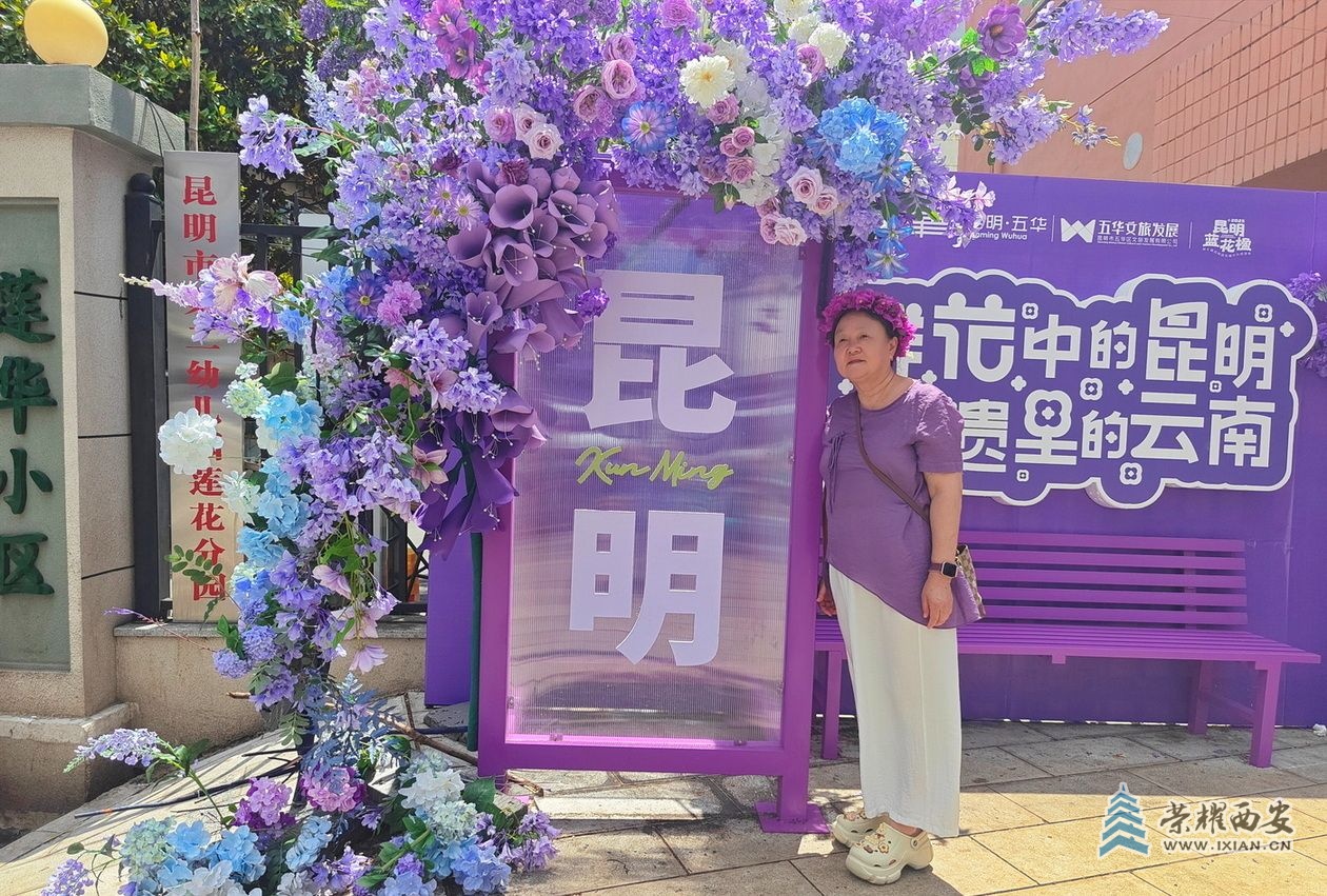 _昆明蓝花楹001.jpg