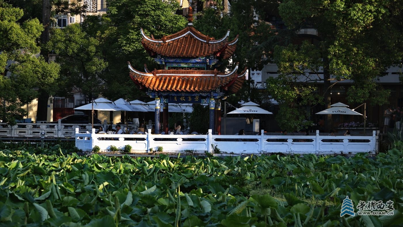 _翠湖公园014.JPG
