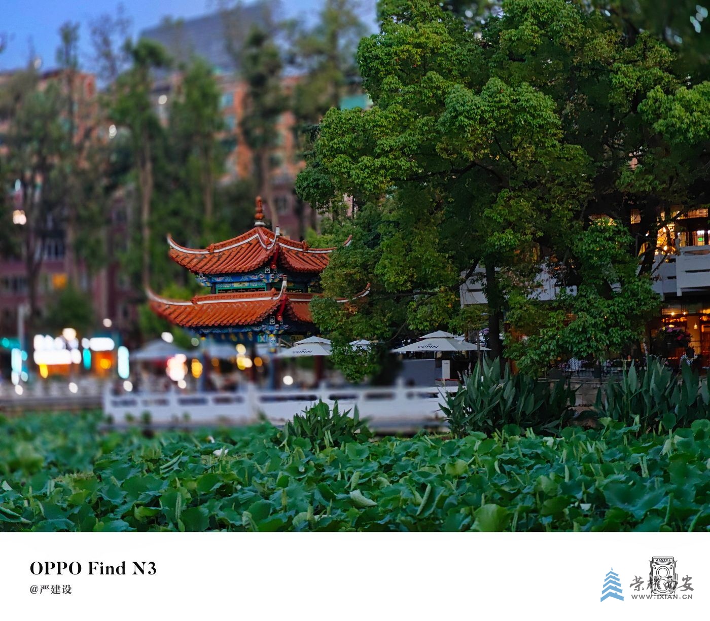 _翠湖公园027.jpg