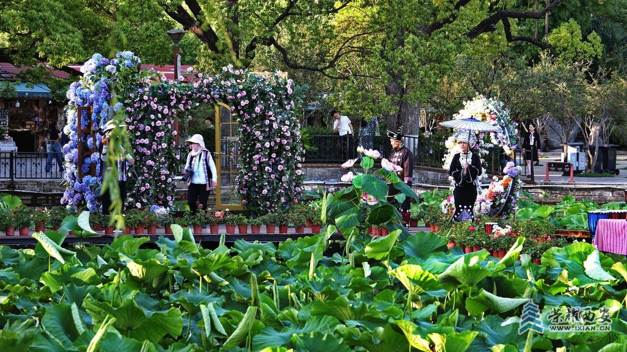 _翠湖公园039.JPG