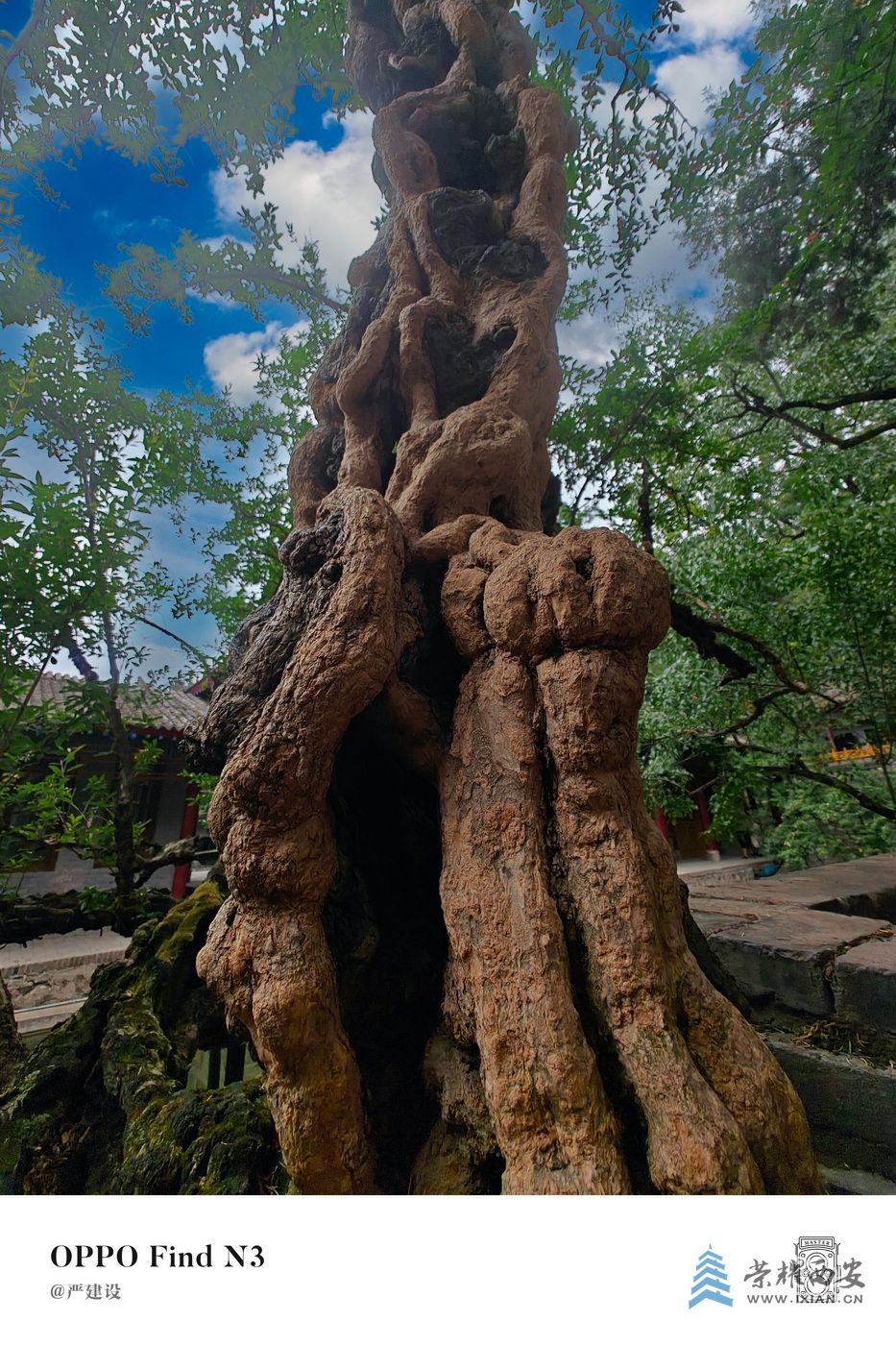 _华清宫0044.jpg
