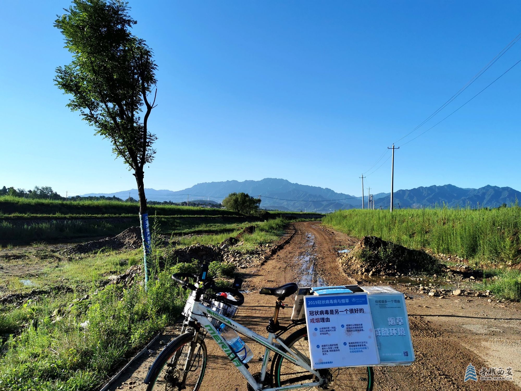 IMG_20220723_071708汤峪河河堤路蓝田段，冠状病毒是另一个很好的戒烟理由.jpg